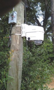 This state-of-the-art camera is one of several installed by the conservancy.
