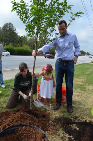 Susan Pierce Cunningham of Trees Atlanta, left, 3-year-old Ella Clockadale, at center, and her dad J.D. Clockadale, standing, help plant a cherry tree at Brookhaven's new city offices on Peachtree Street. City officials planted three cherry trees to celebrate national Arbor Day.