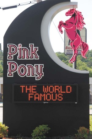 Pink-Pony-300x450