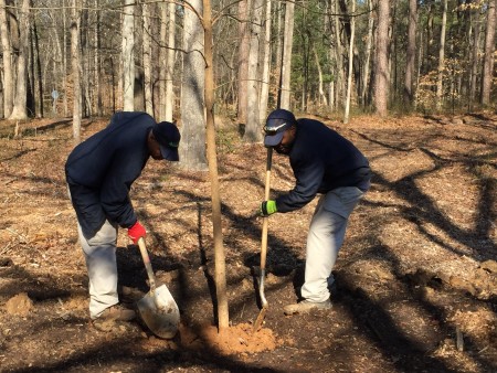City of Dunwoody employees plant trees for Georgia Arbor Day on Feb. 20. (Special)