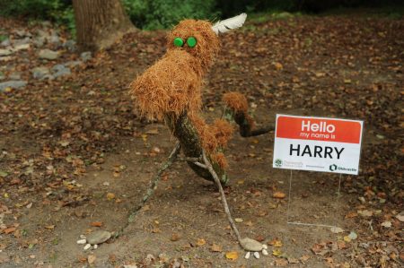 Harry, a creature made of pinestraw, is one of 20 pieces made by artist Salley McInerney using natural, found materials. (Photo Phil Mosier)