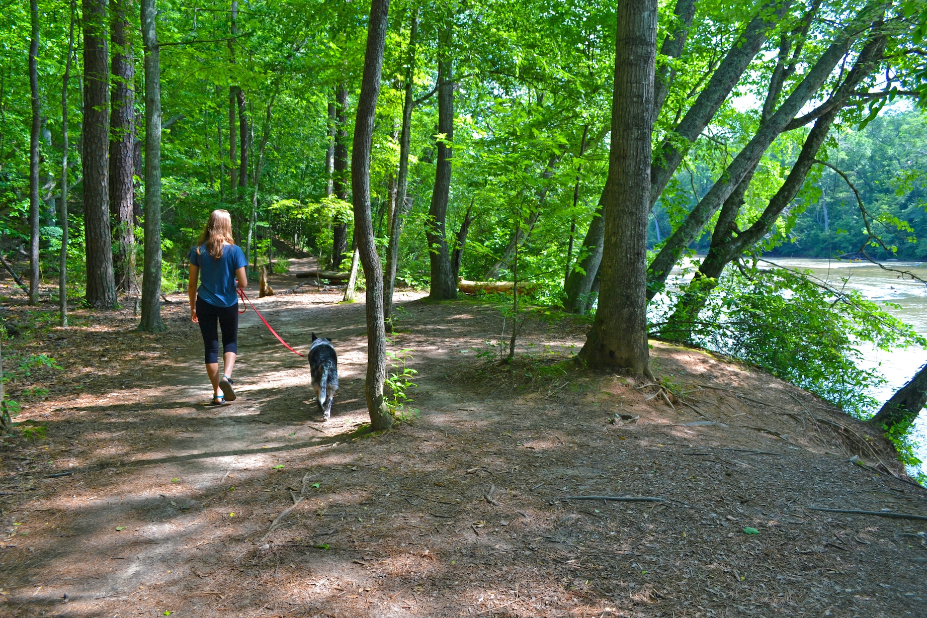 Chattahoochee River Park remains open, operations suspended - Rough ...