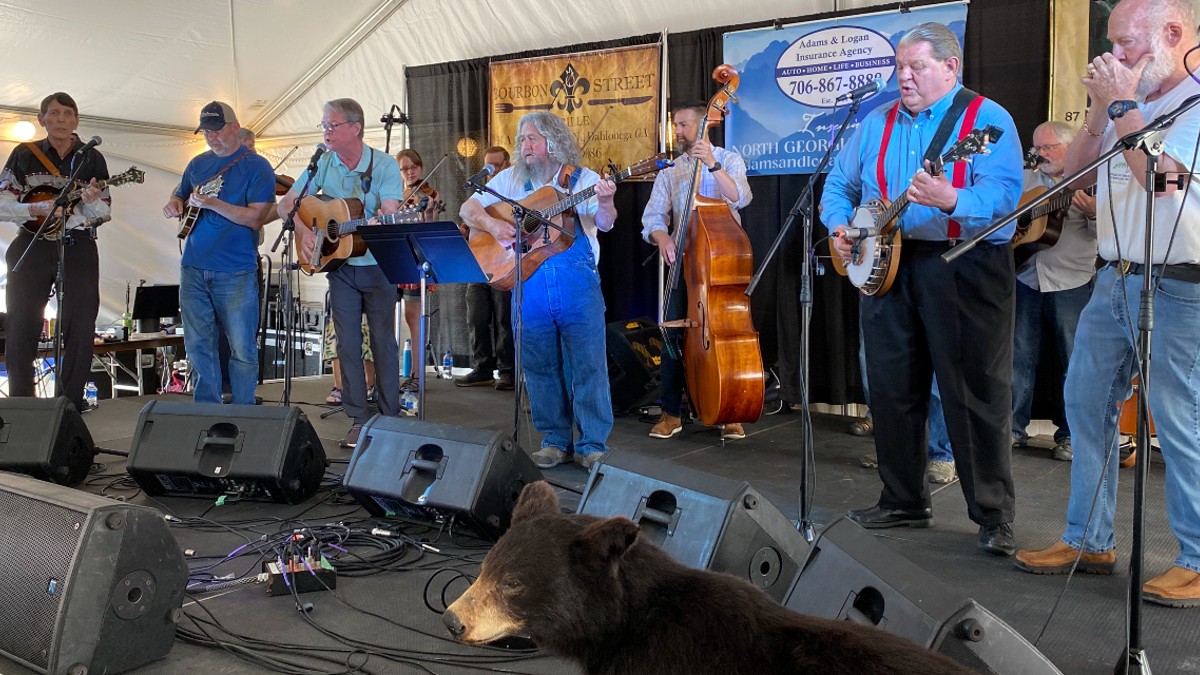 Bear on the Square Mountain Festival