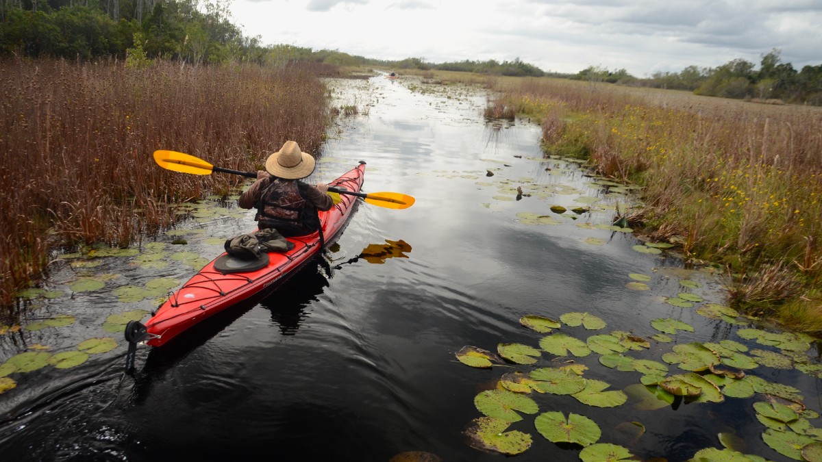 A kayaker explores the southeast section of the Okefenokee Swamp nearest the proposed heavy mineral sands mine. Hydrologists have warned that the mine will lower water levels in the swamp, rendering the Wilderness Canoe Trail system impassable on a more frequent basis.