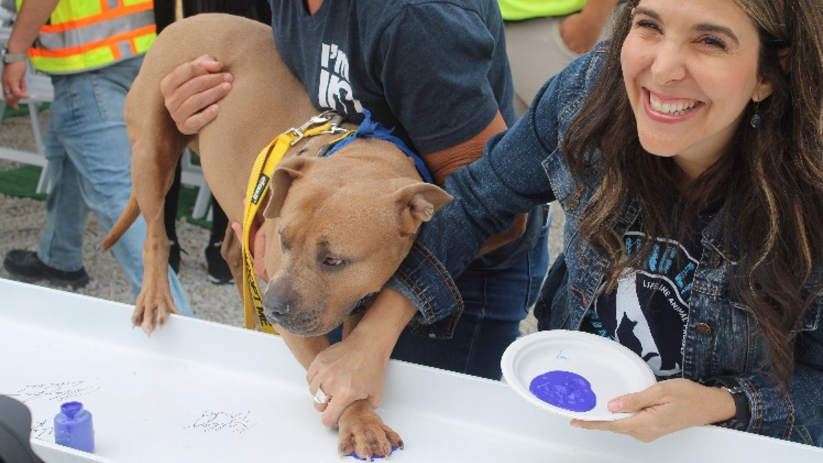 LifeLine Animal Project’s chief marketing officer Heather Friedman helps their canine resident Brandy put her stamp of approval on the final structural beam before it’s raised. Brandy is currently available for adoption and featured on LifeLine’s Web pages.