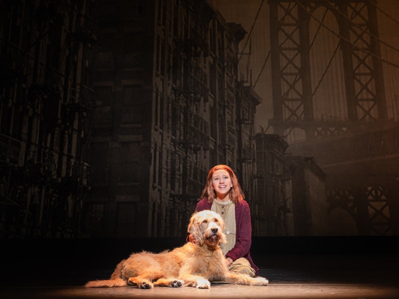 Rainier “Rainey” Treviño and Georgie in the North American tour of "Annie." (Photo by Evan Zimmerman).