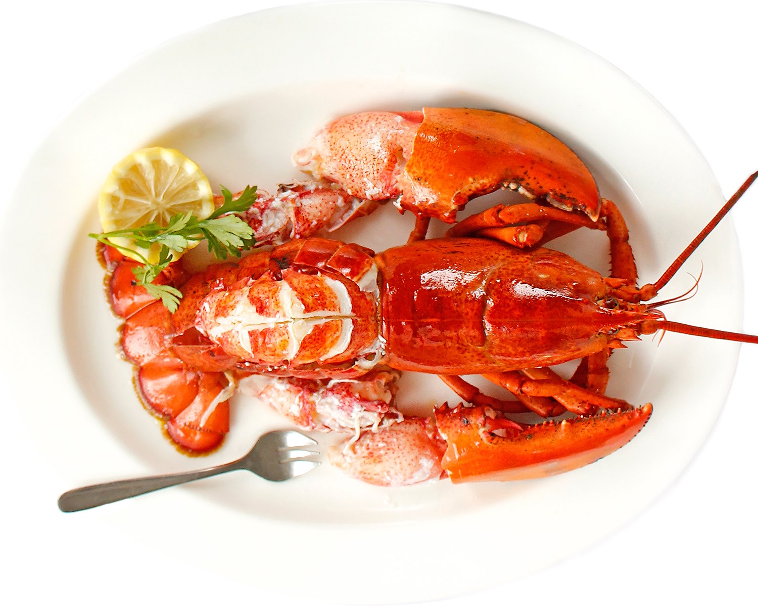 First suburban location of Chops Lobster Bar opening in Johns Creek