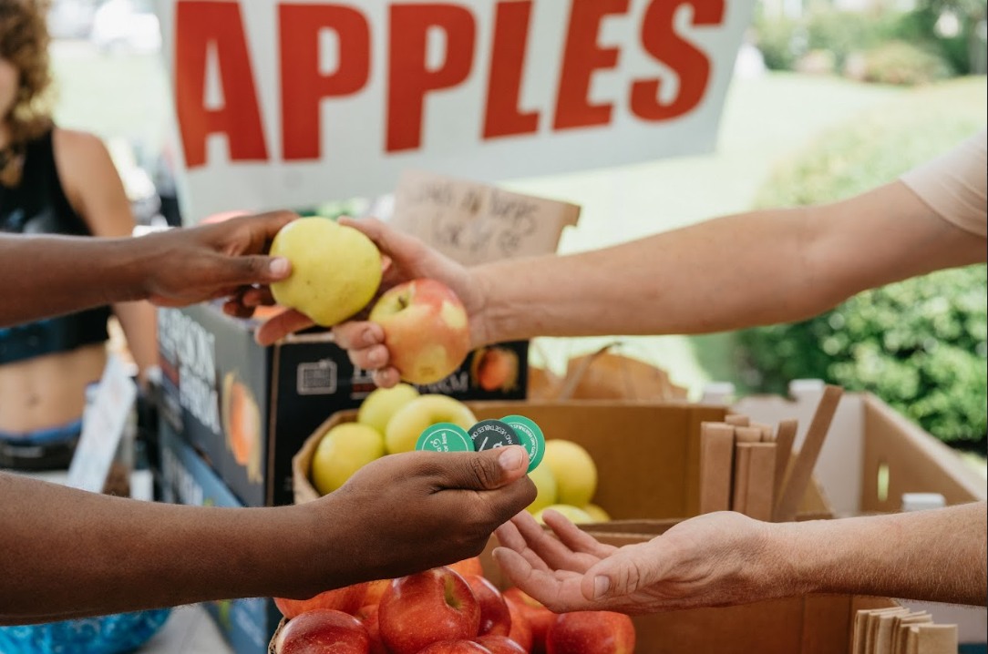 DeKalb County to hold holiday food distribution in Tucker, five other locations