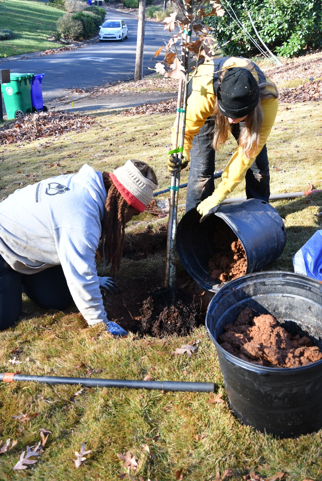 Free Shade Trees for Tucker Residents in New Program - Rough Draft Atlanta