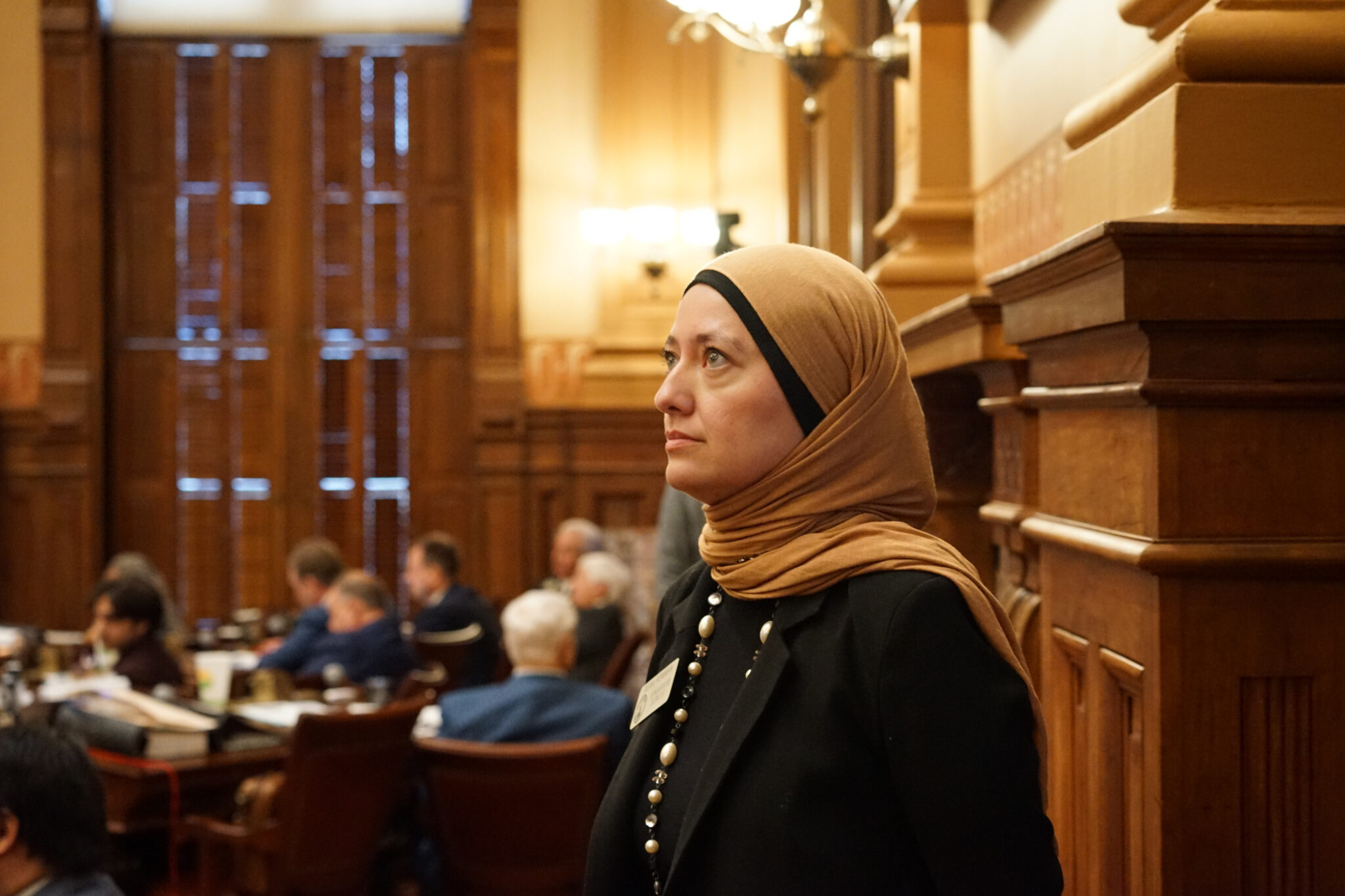 Several Georgia races shed candidates as qualifying week looms and races take shap