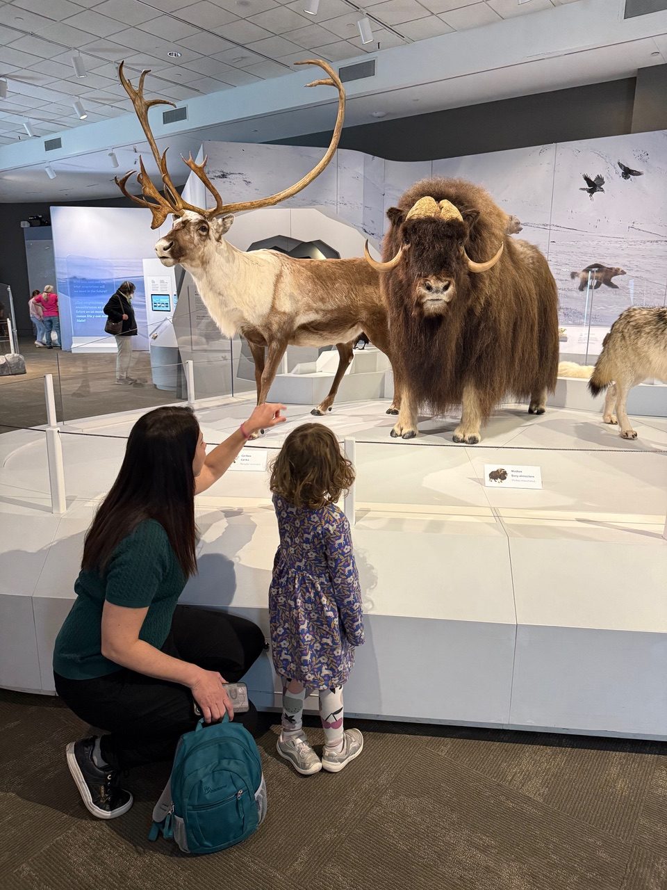 Experience the Cool Past, Present and Future of Earth at Planet Ice