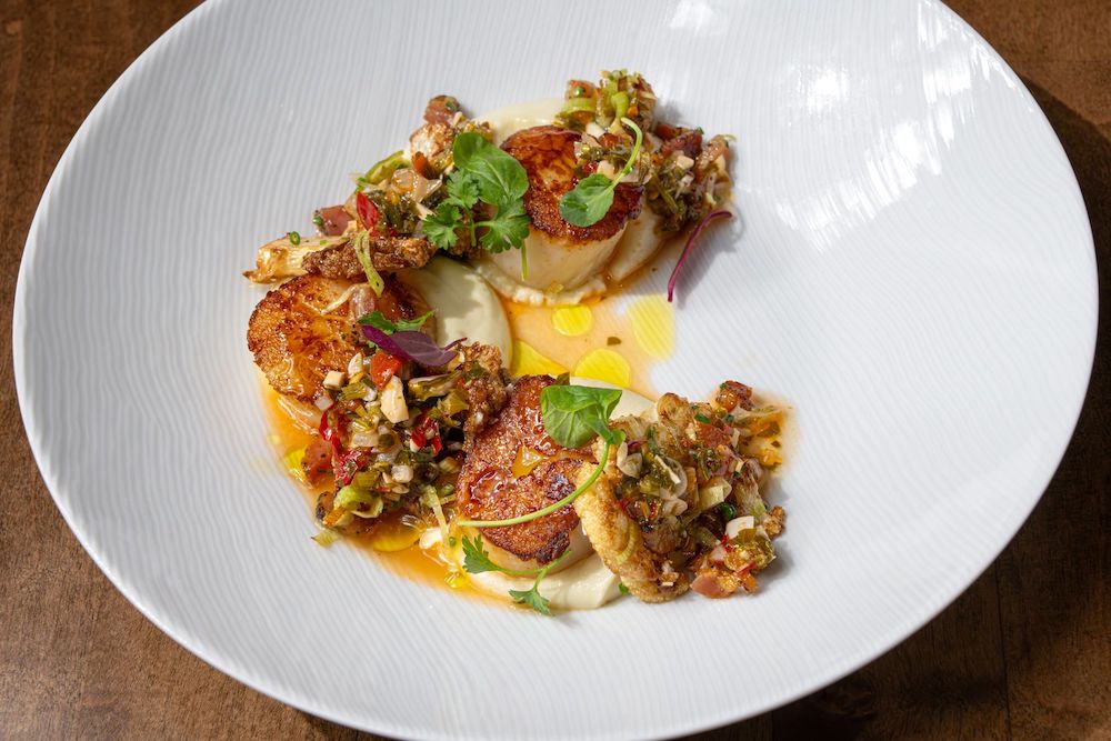 Recipe: Seared scallops with cauliflower and pancetta from The Americano