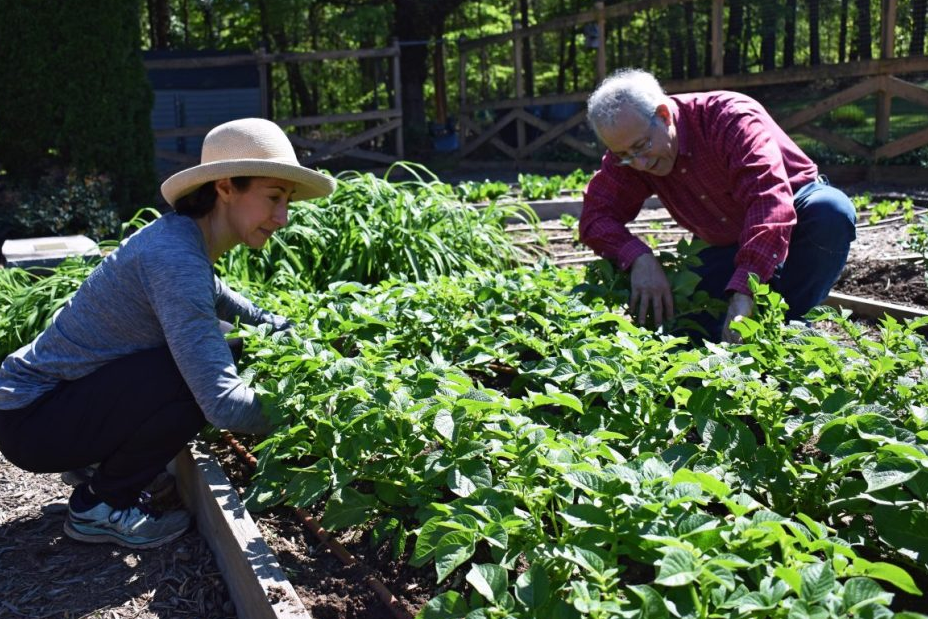Atlanta's Community Gardens: A Harvest of Kindness - Rough Draft Atlanta