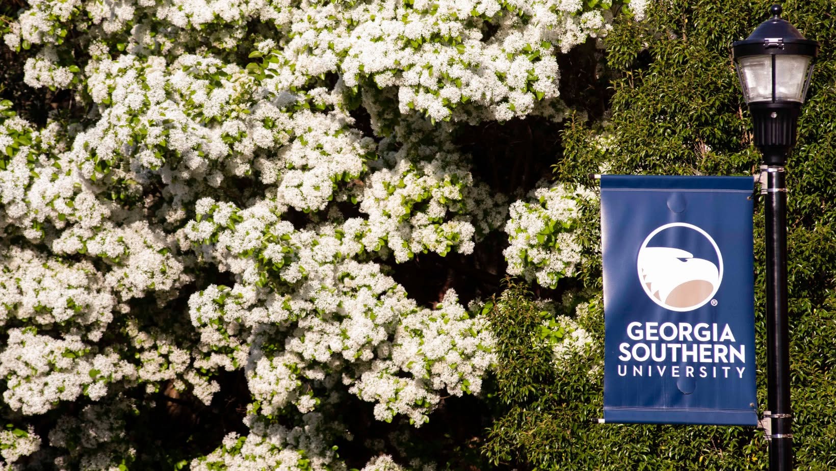 Georgia Southern pays $250,000 settlement over LGBTQ+ rights dismissal