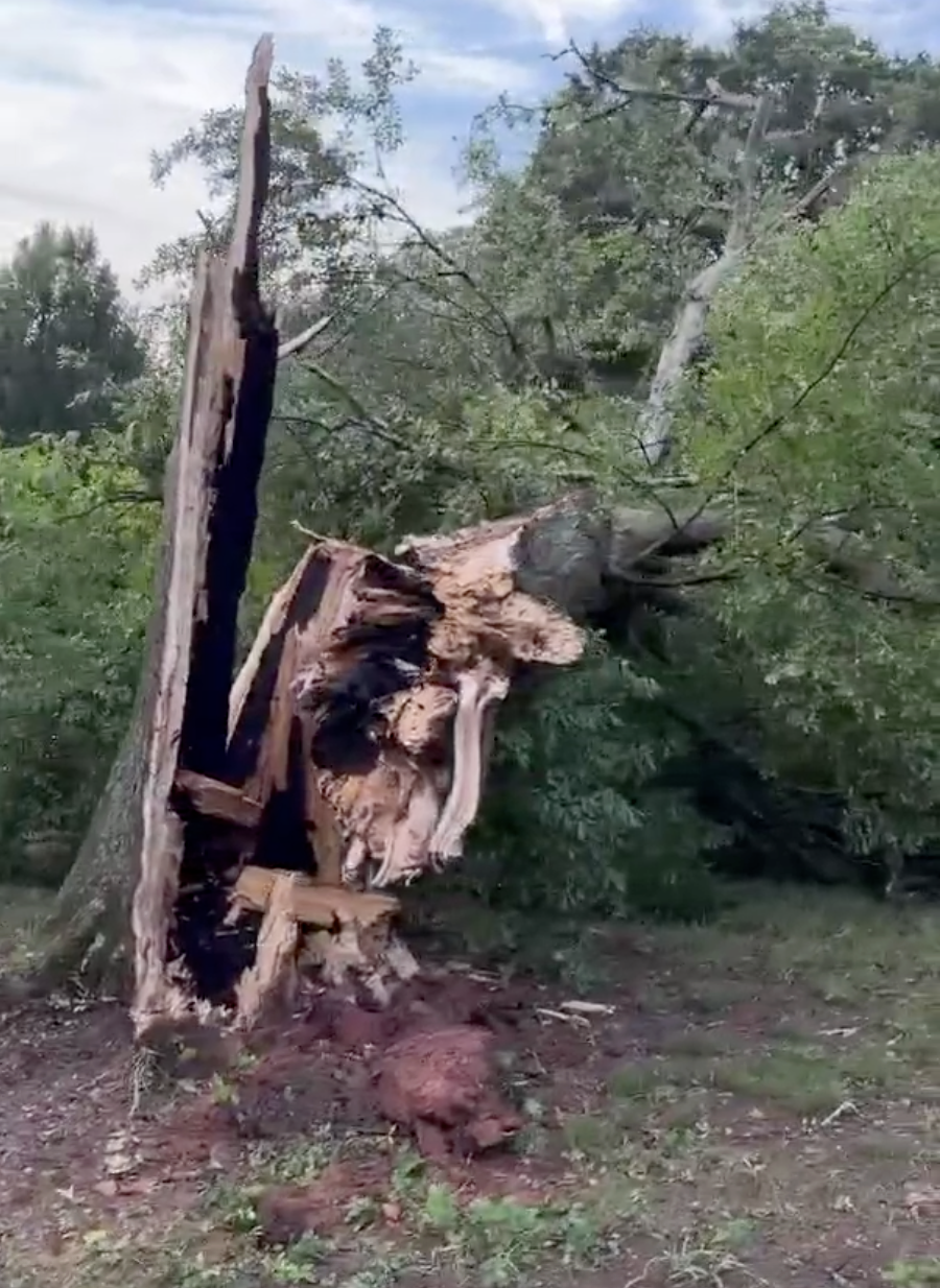 Downed trees, power outages reported in metro Atlanta after strong storms